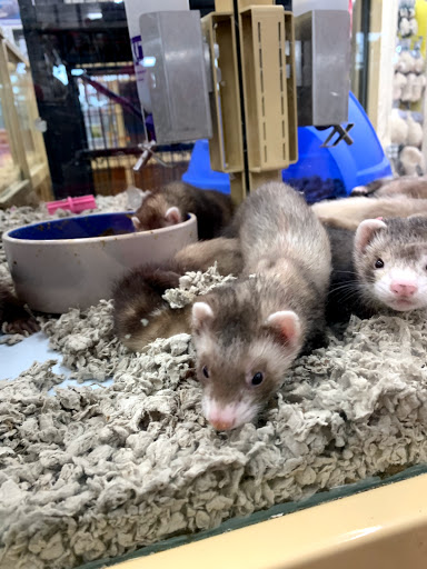 Pet Supply Store «Pet Supermarket, Inc.», reviews and photos, 598 N McCarran Blvd, Sparks, NV 89431, USA