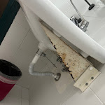 Photo n°2 de l'avis de Valentina.t fait le 30/09/2023 à 10:16 sur le  Colony Hotel à Rome