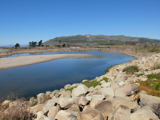 Ventura River Estuary