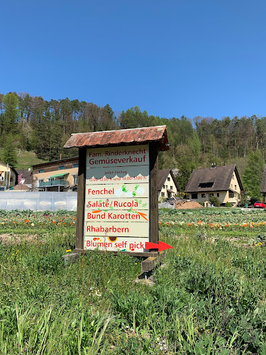 Rinderknecht Gemüsebau - Bülach