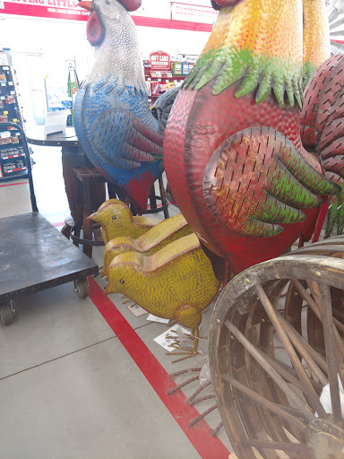 Home Improvement Store «Tractor Supply Co.», reviews and photos, 10801 Colonel Glenn Rd, Little Rock, AR 72204, USA