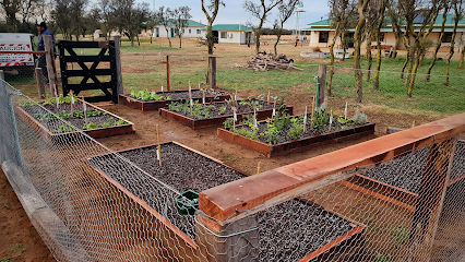 Cilantro: Insumos de huerta y jardín.