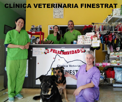 Clínica Veterinaria Finestrat en Finestrat