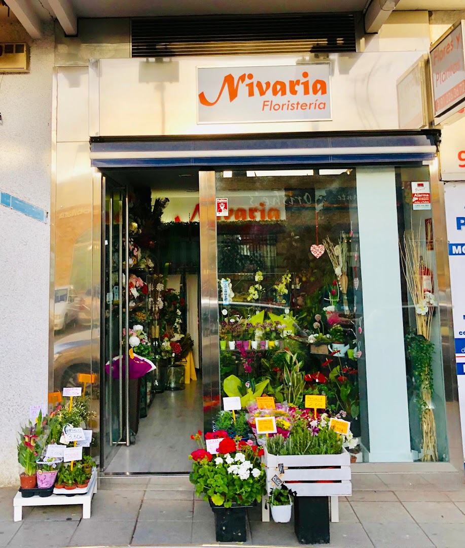 Floristeria Nivaria