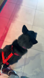 Photo n°53 de Carl's Jr. Le Pontet à Le Pontet ()