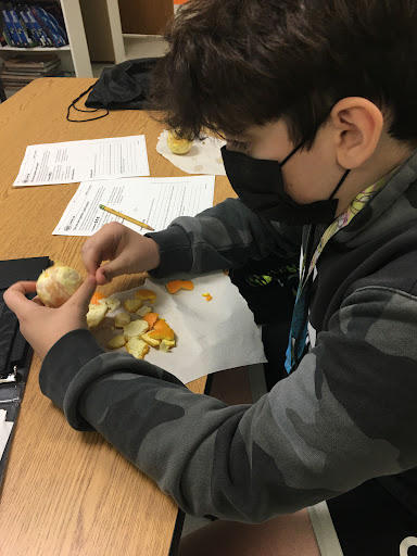 Arts Organization «DaySpring School of the Arts», reviews and photos, 2500 Metro Blvd, Maryland Heights, MO 63043, USA