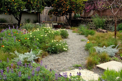 Victor's Landscaping & Gardening Solutions