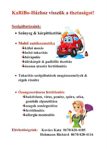 Hozzászólások és értékelések az KaRiBo-Ózongenerátoros fertőtlenítés & teljeskörű takarítás & autókozmetika-ról