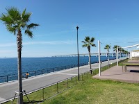 シーサイドコフーン