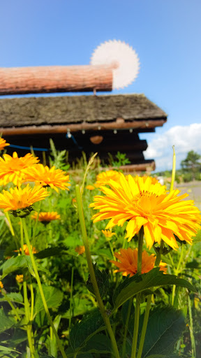 Hotel «Sawmill Inn of Grand Rapids», reviews and photos, 2301 US-169, Grand Rapids, MN 55744, USA