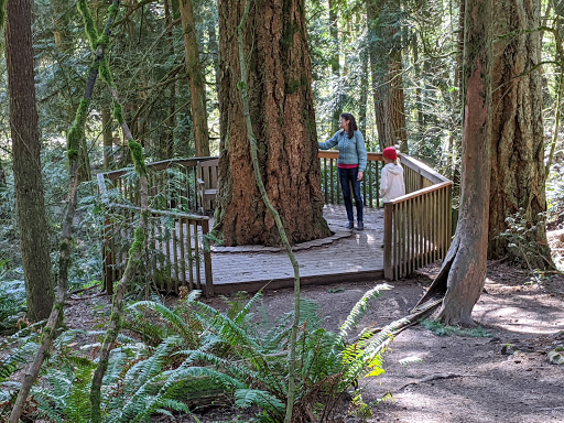 Non-Profit Organization «Audubon Society of Portland», reviews and photos, 5151 NW Cornell Rd, Portland, OR 97210, USA