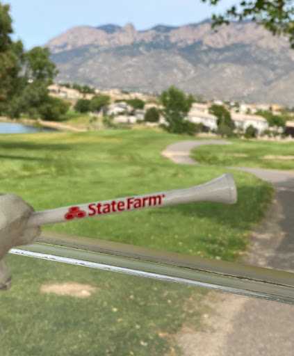 Insurance Agency «Michelle Rudolph», reviews and photos