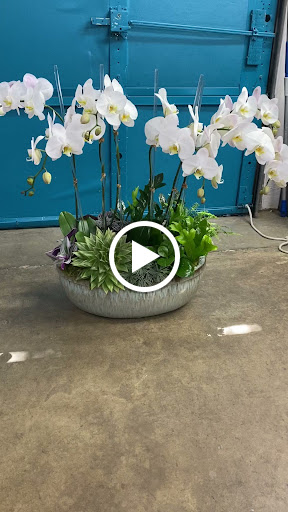 Florist «Mille Fleurs», reviews and photos, 4901 Keller Springs Rd #109, Addison, TX 75001, USA