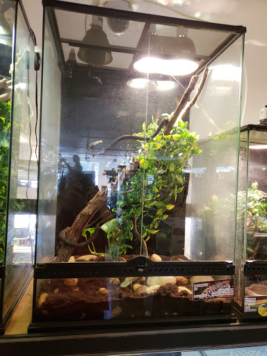Pet Store «Critter Cabana», reviews and photos, 516 E 1st St, Newberg, OR 97132, USA