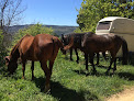 Horse Planet Equitation Berre-les-Alpes