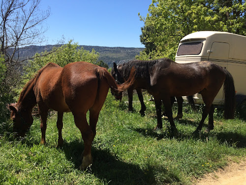 Horse Planet Equitation à Berre-les-Alpes