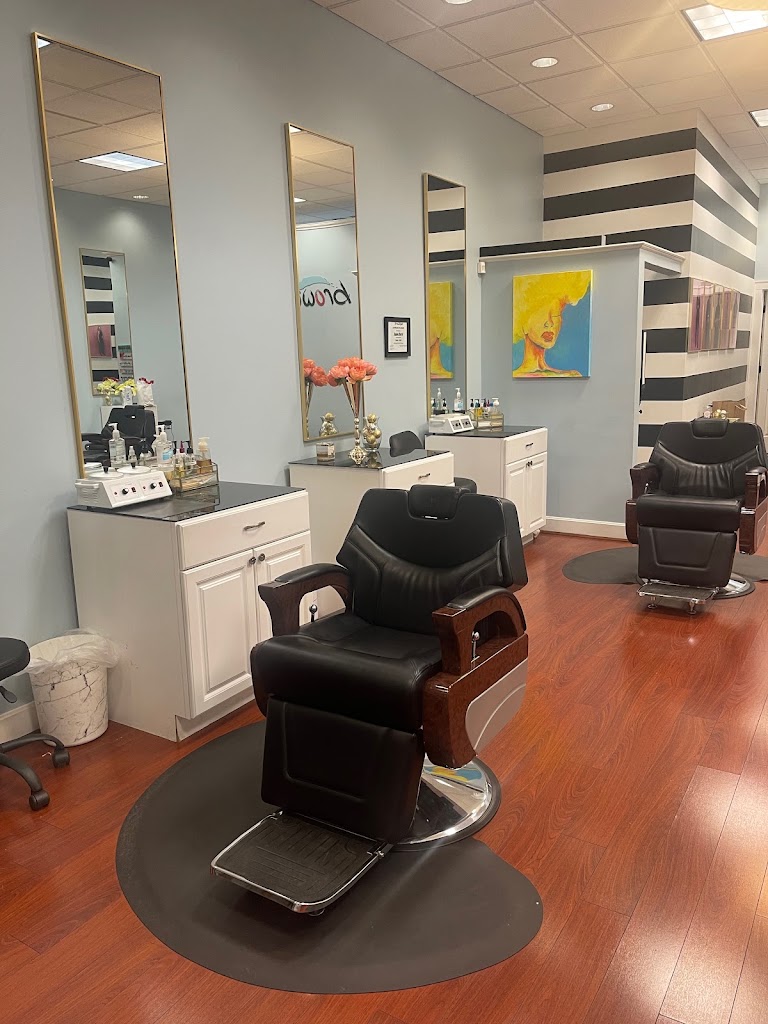 The Browtique 43209