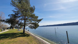 Photo de Naturbadestrand Sipplingen avec un niveau de propreté de très propre