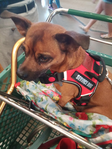 Sporting Goods Store «Bass Pro Shops», reviews and photos, 5000 Katy Mills Cir #415, Katy, TX 77494, USA