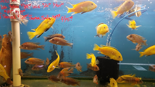 Pet Store «Fish R Us», reviews and photos, 10855 TX-242, Conroe, TX 77385, USA