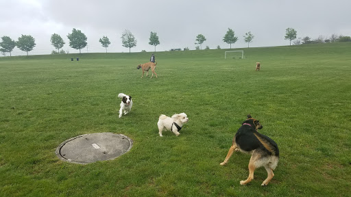 Park «Millennium Park», reviews and photos, 300 Gardner Street, West Roxbury, MA 02132, USA