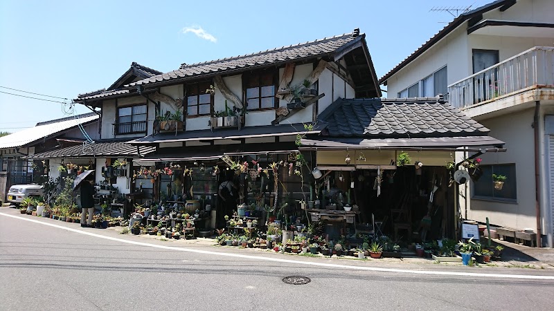 気まぐれ植物屋 たなかまる