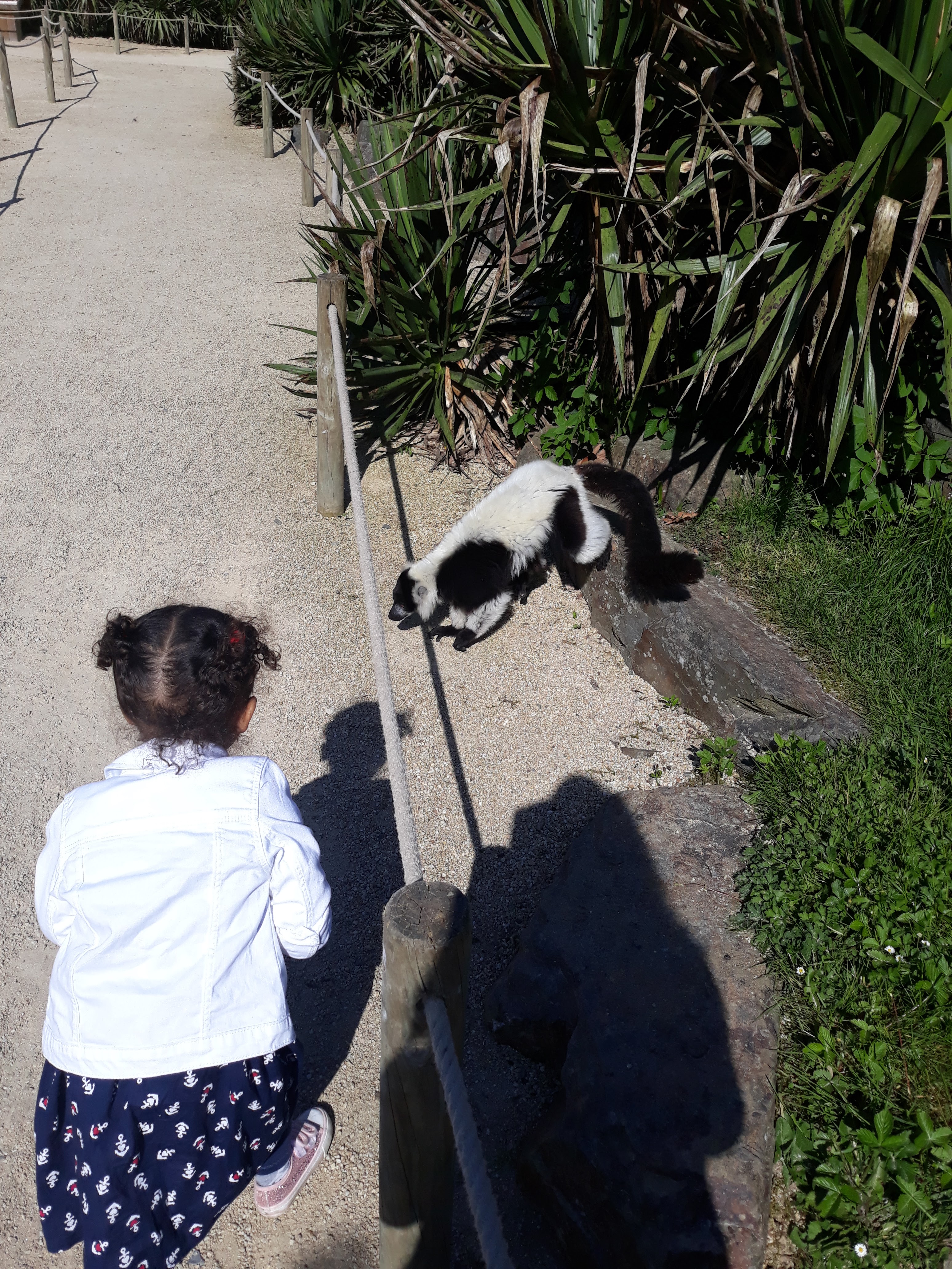Photo n° 10 de l'avis de Aline.o fait le 23/05/2018 à 09:28