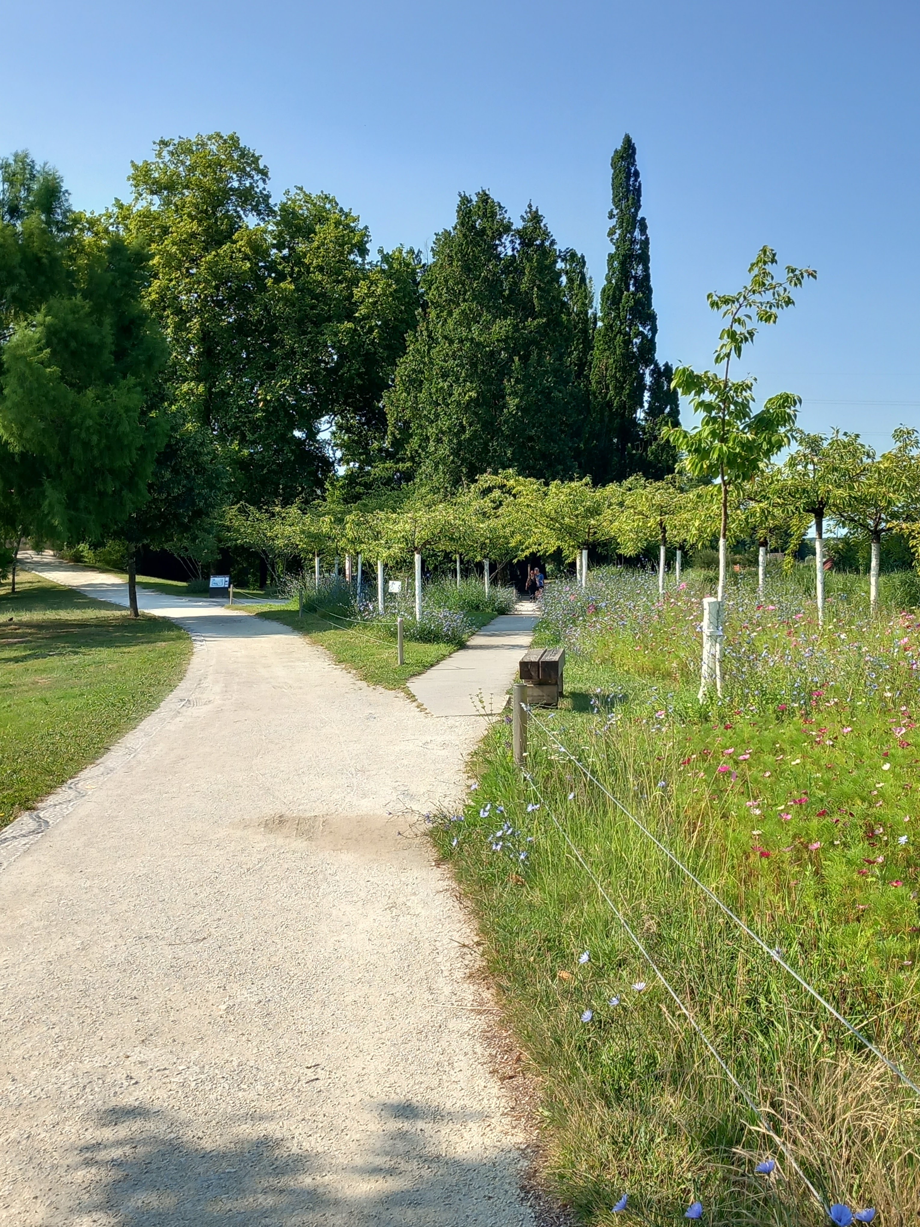 Photo n° 7 de l'avis de Albane. fait le 09/07/2023 à 09:36