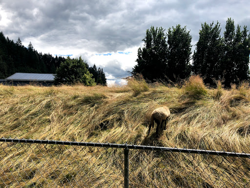 Amusement Center «Remlinger Farms», reviews and photos, 32610 NE 32nd St, Carnation, WA 98014, USA