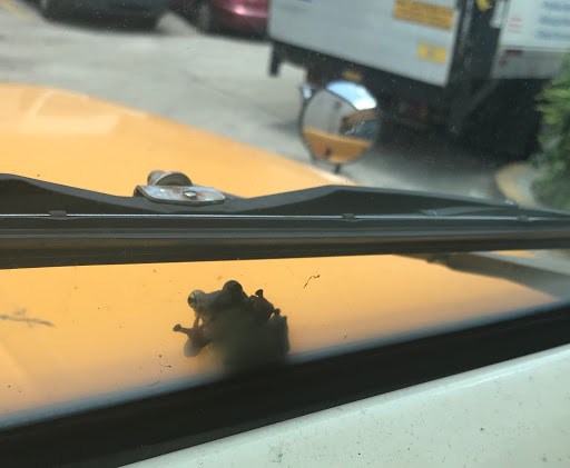 Auto Repair Shop «Professional Fleet Maintenance», reviews and photos, 2081 SW 70th Ave, Davie, FL 33317, USA