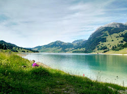 Wagitalersee Beach'in fotoğrafı vahşi alan