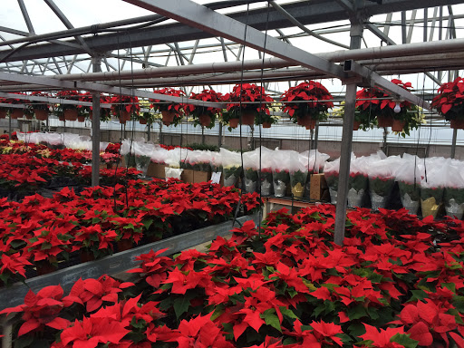 Florist «Parkview Gardens Florist & Greenhouse», reviews and photos, 1925 W Randolph St, St Charles, MO 63301, USA