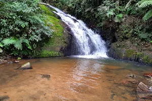 Cachoeira Do Alecrim image