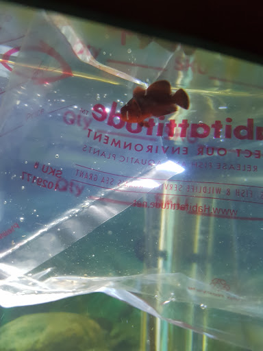 Pet Supply Store «Petco Animal Supplies», reviews and photos, 353 Harrison Bridge Rd, Simpsonville, SC 29680, USA