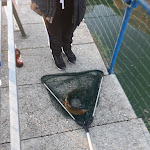 Photo n°1 de l'avis de constantin.a fait le 26/12/2019 à 16:41 sur le  Ristorante Pizzeria Lago Argentato à Castel Sant'Angelo