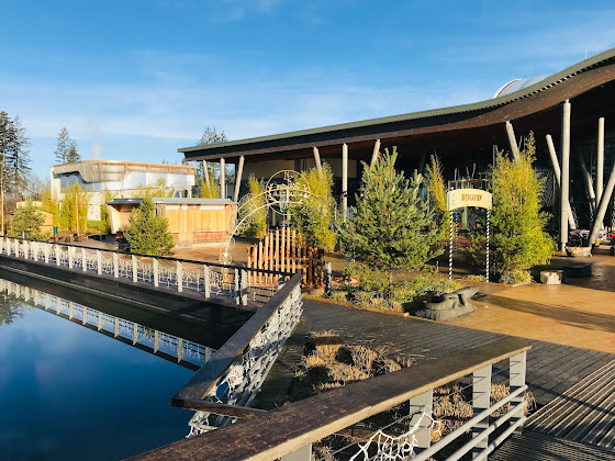 Photos des visiteurs hôtels Center Parcs Allgäu 88299 Leutkirch im Allgäu