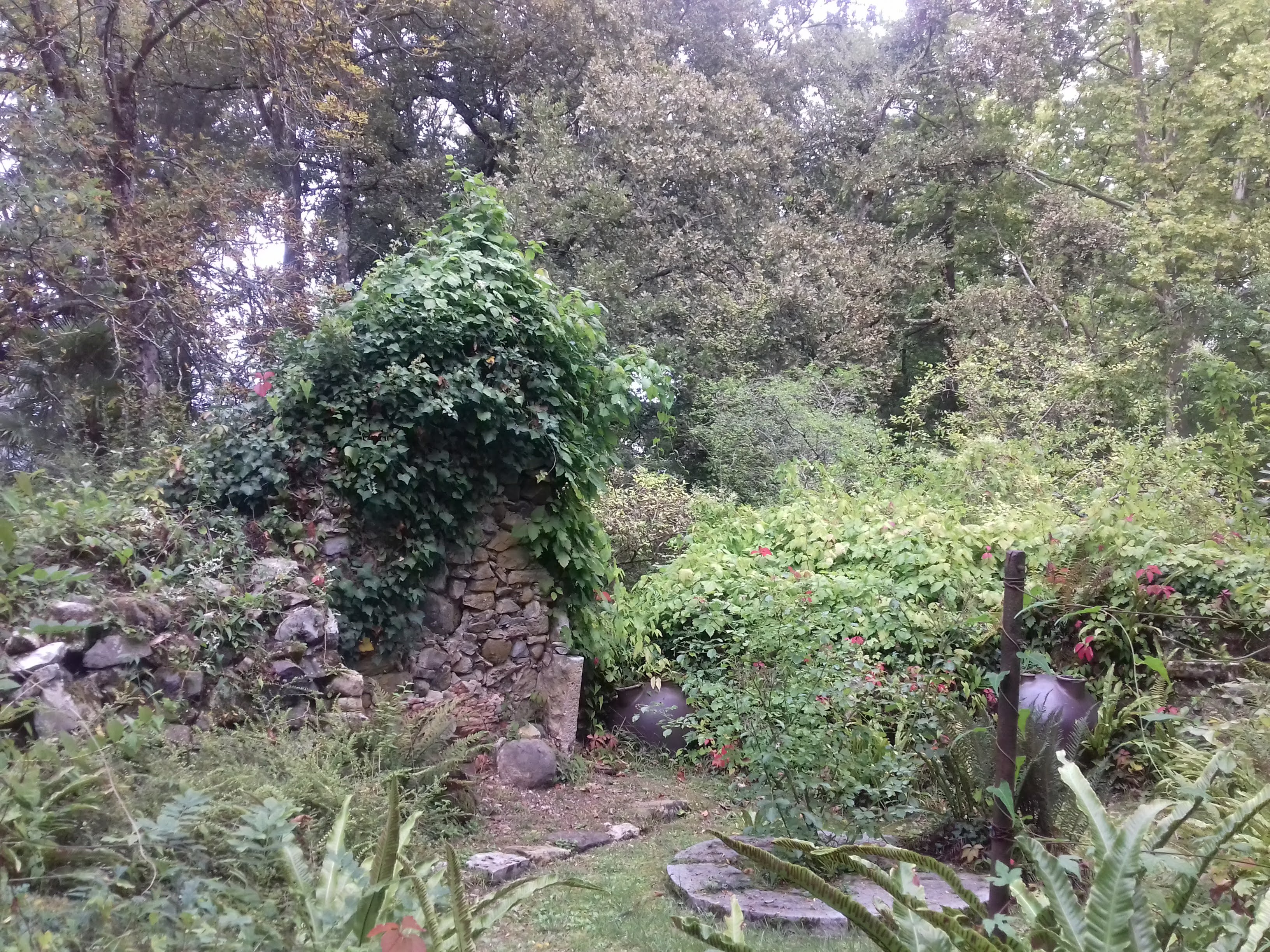 Photo n° 2 de l'avis de Joelle.u fait le 28/09/2021 à 17:03
