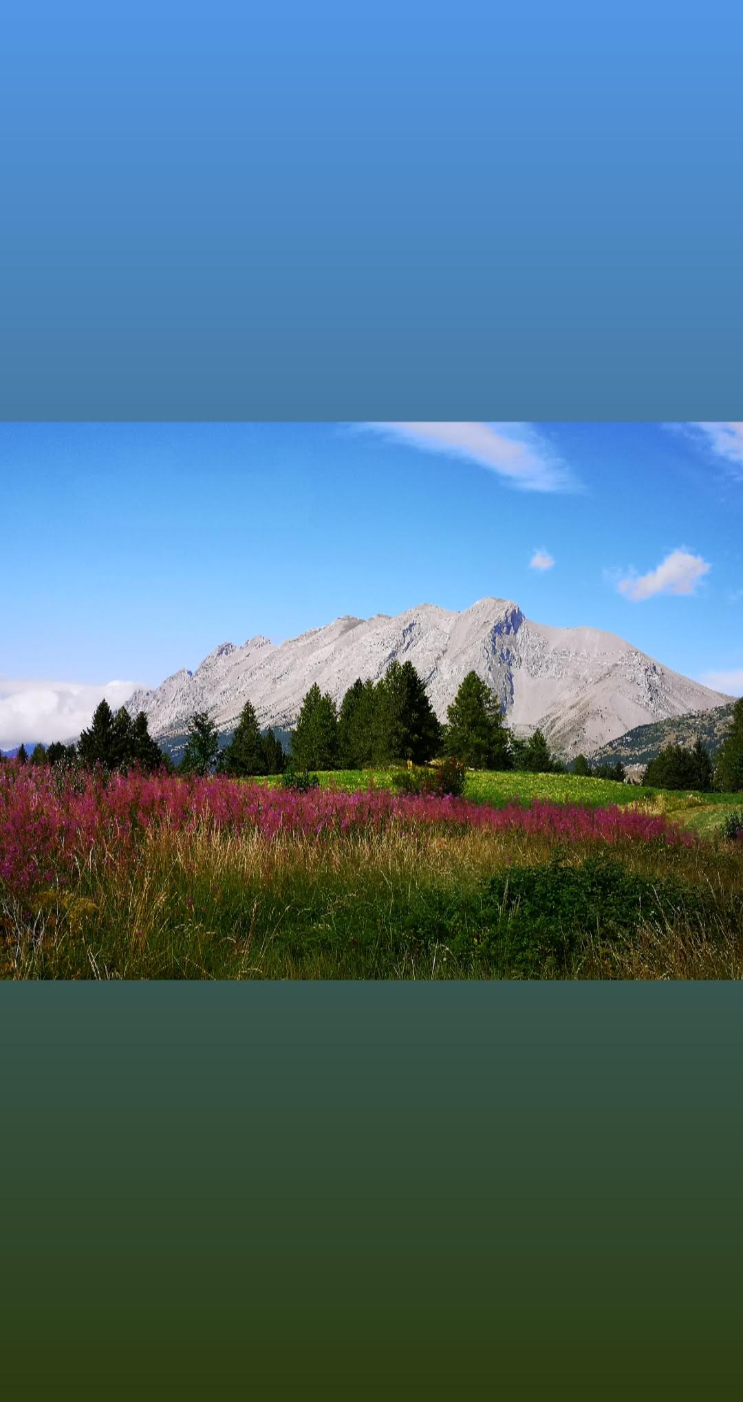 Photo n° 5 de l'avis de natacha.u fait le 23/08/2019 à 18:25