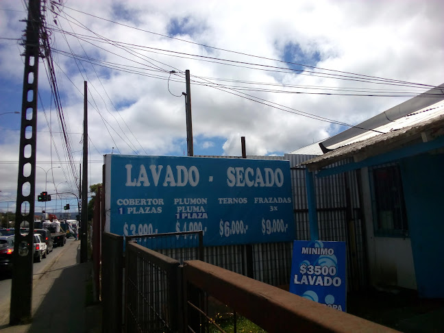 Opiniones de LAVANDERIA AZUL FRESH en Valdivia - Lavandería