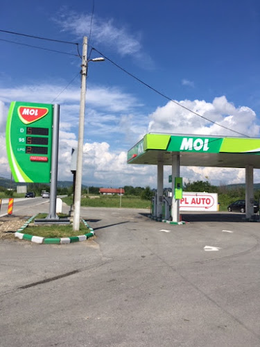 Opinii despre Butan Gas Bengesti-Ciocadia în Bengeşti - Benzinărie