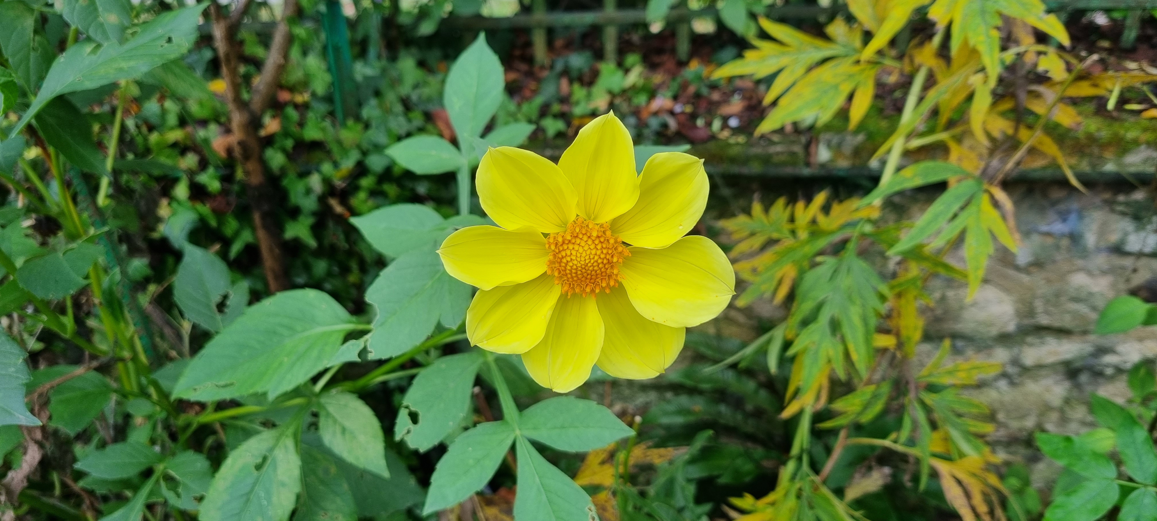 Photo n° 23 de l'avis de lemagicien40. fait le 03/11/2023 à 07:28