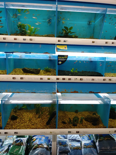 Pet Supply Store «Pet Supermarket», reviews and photos, 1746 E Silver Springs Blvd, Ocala, FL 34470, USA