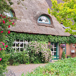 Photo n°12 de l'avis de Mario.o fait le 25/06/2023 à 10:03 sur le  Thomsens Peerstall à Kiel