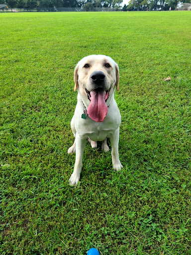 Park «Dyker Beach Park», reviews and photos, 334 Bay 8th St, Brooklyn, NY 11228, USA