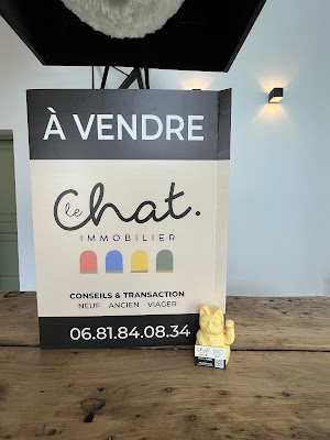 Le Chat Immobilier à Nieppe