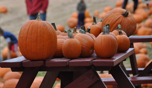 Day Care Center «Sweet Peas Learning Center», reviews and photos, 140 Woodbine St, Bergenfield, NJ 07621, USA