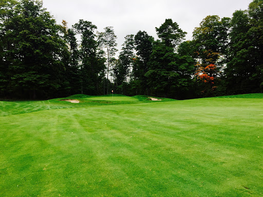 Golf Course «Mistwood Golf Course», reviews and photos, 7568 Ole White Dr, Lake Ann, MI 49650, USA