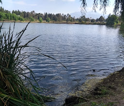 Parque Alameda 2000 photo