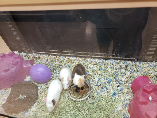 Pet Supply Store «PetSmart», reviews and photos, 11200 Fountains Way, Maple Grove, MN 55369, USA
