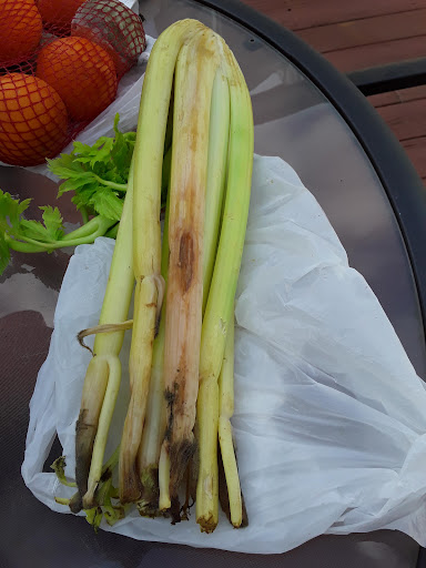 Grocery Store «Save-A-Lot», reviews and photos, 235 S Broadway, Pennsville, NJ 08070, USA